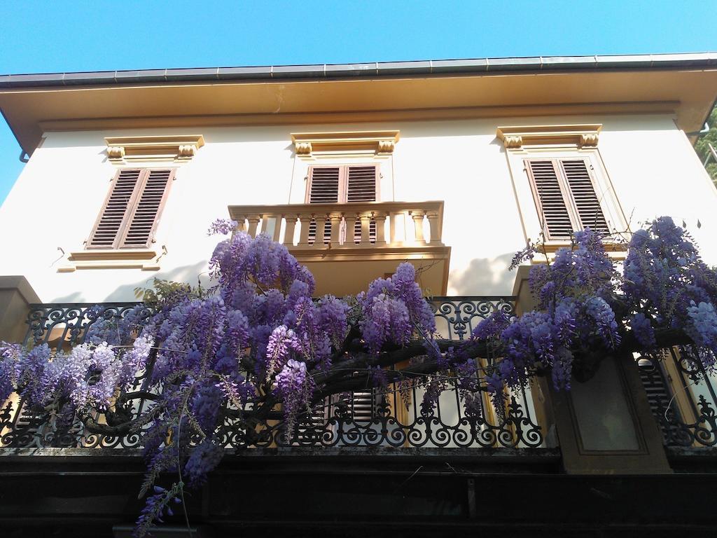 Villa Violetta Castiglioncello Ngoại thất bức ảnh